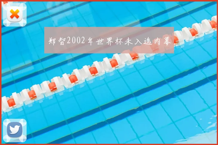 郑智2002年世界杯未入选内幕