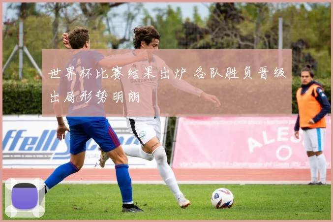 世界杯比赛结果出炉 各队胜负晋级出局形势明朗