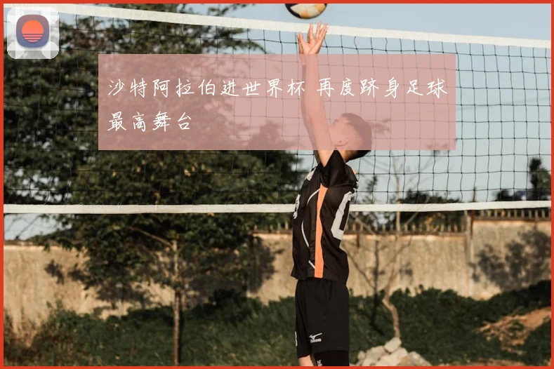沙特阿拉伯进世界杯 再度跻身足球最高舞台