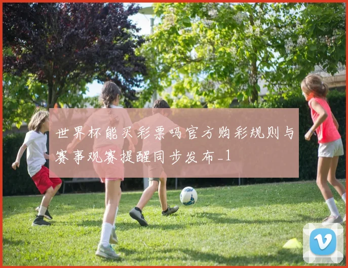 世界杯能买彩票吗官方购彩规则与赛事观赛提醒同步发布_1
