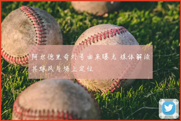 阿尔德里奇外号由来曝光 媒体解读其球风与场上定位
