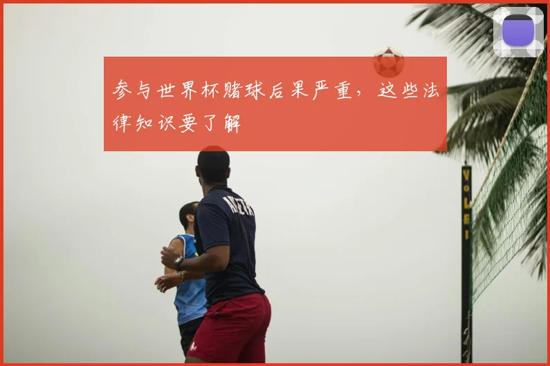 参与世界杯赌球后果严重，这些法律知识要了解