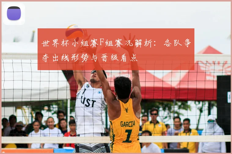 世界杯小组赛F组赛况解析：各队争夺出线形势与晋级看点