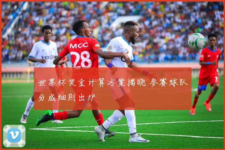 世界杯奖金计算方案揭晓 参赛球队分成细则出炉