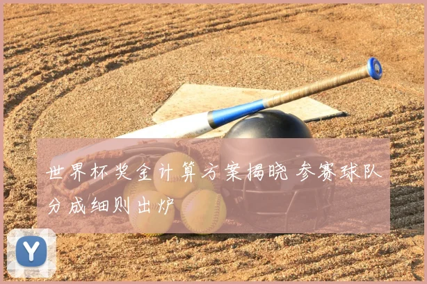 世界杯奖金计算方案揭晓 参赛球队分成细则出炉