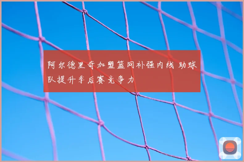 阿尔德里奇加盟篮网补强内线 助球队提升季后赛竞争力