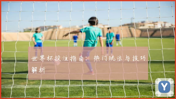 世界杯投注指南：热门玩法与技巧解析