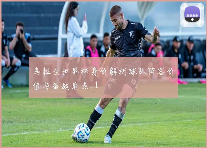 乌拉圭世界杯身价解析球队阵容价值与备战看点_1