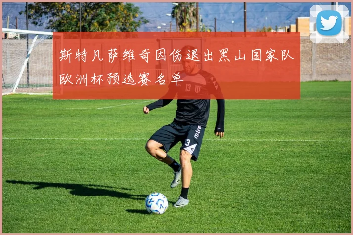 斯特凡萨维奇因伤退出黑山国家队欧洲杯预选赛名单