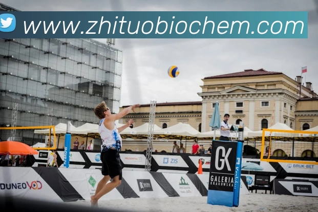 熊猫体育直播观看平台生态图